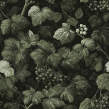 Afbeeldingen van Antonie Green - 1079601-02