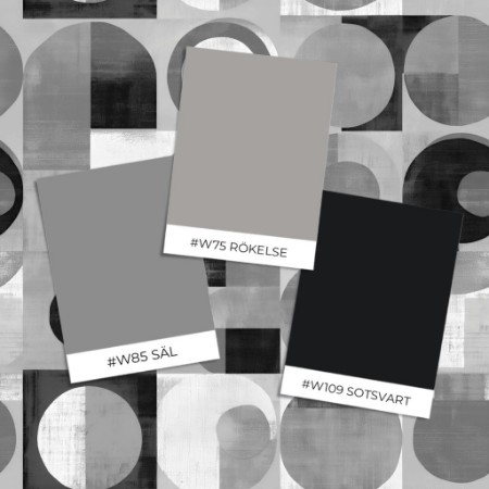 Poza cu Stil probă - Douglas Grey - 1080101-03