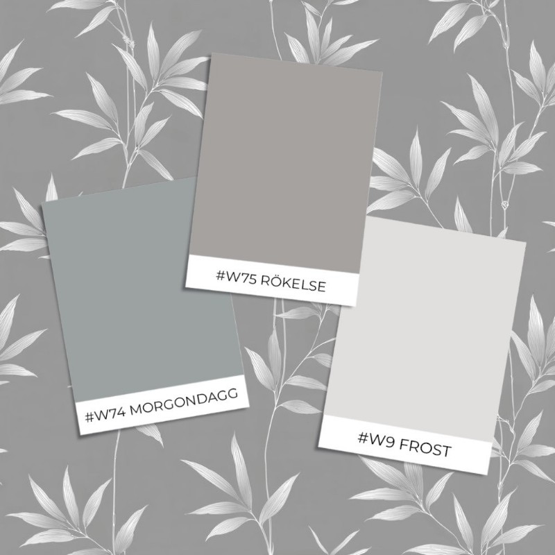 Image de Coloration Rodrigo Grey - 1080201-02 - 07370-01