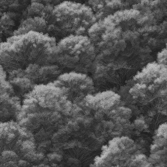 Afbeeldingen van Dennis Grey - 1080401-02