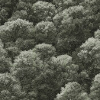 Obrázok z Dennis Green - 1080401-03