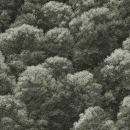 Picture of Dennis Green - 1080401-03