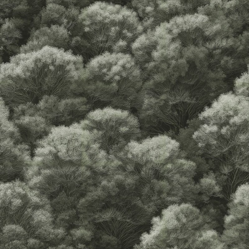 Afbeeldingen van Dennis Green - 1080401-03