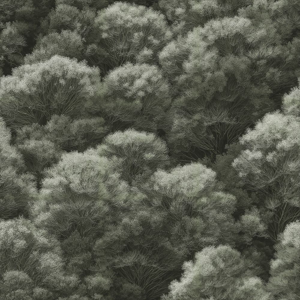 Image de 