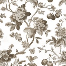 Picture of Manuela Beige - 1080501-02