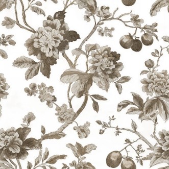 Afbeeldingen van Manuela Beige - 1080501-02