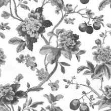 Picture of Manuela Grey - 1080501-03