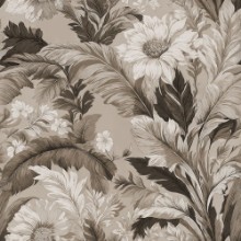 Image de Verona Brown - 1080801-03