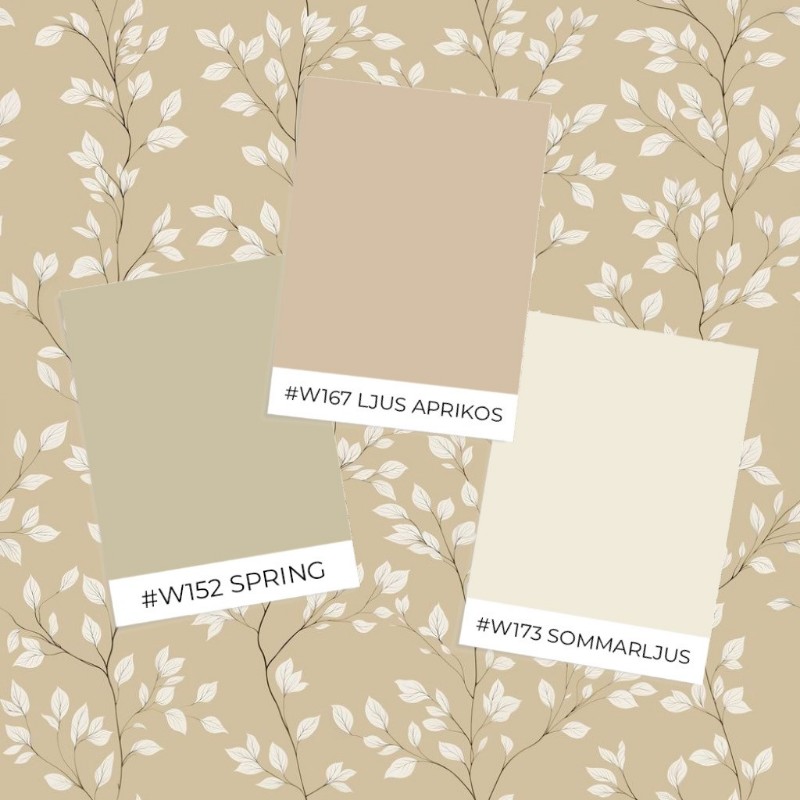 Image de Daniel Yellow - 1081801-02