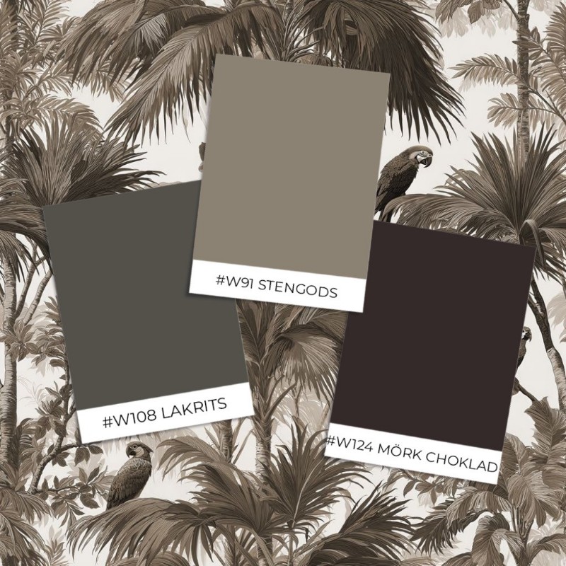 Image de Coloration Madagaskar Brown - 1085001-03 - 07506-01