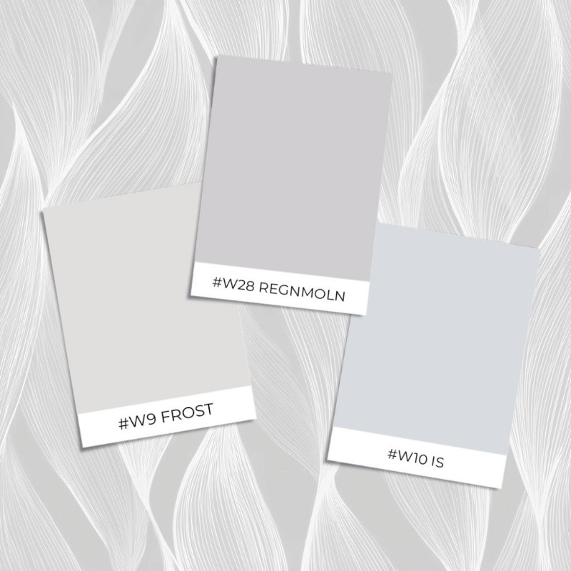 Image de Tomas Grey - 1087201-03