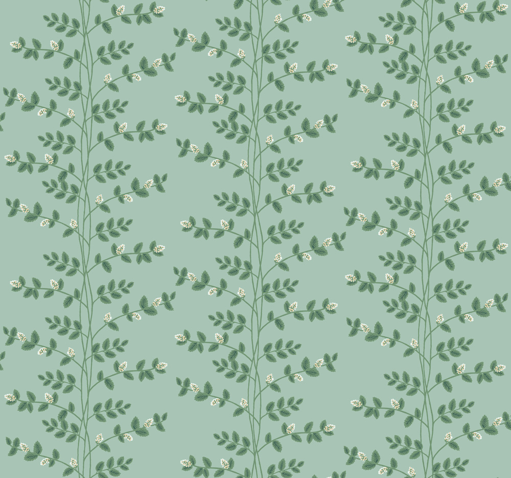 Climbing Vine - RF7421 wallpaper Midbec