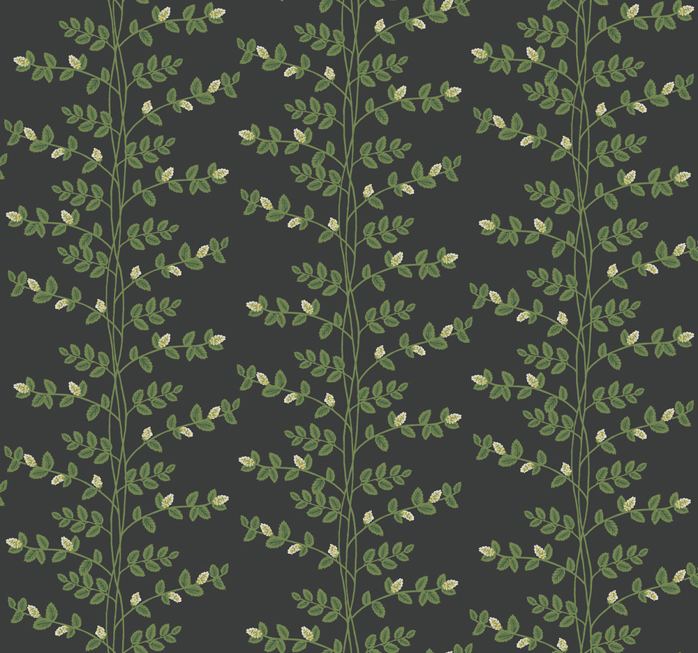Climbing Vine - RF7422 wallpaper Midbec