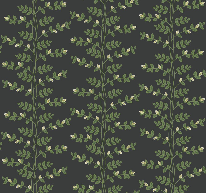 Climbing Vine - RF7422 wallpaper Midbec