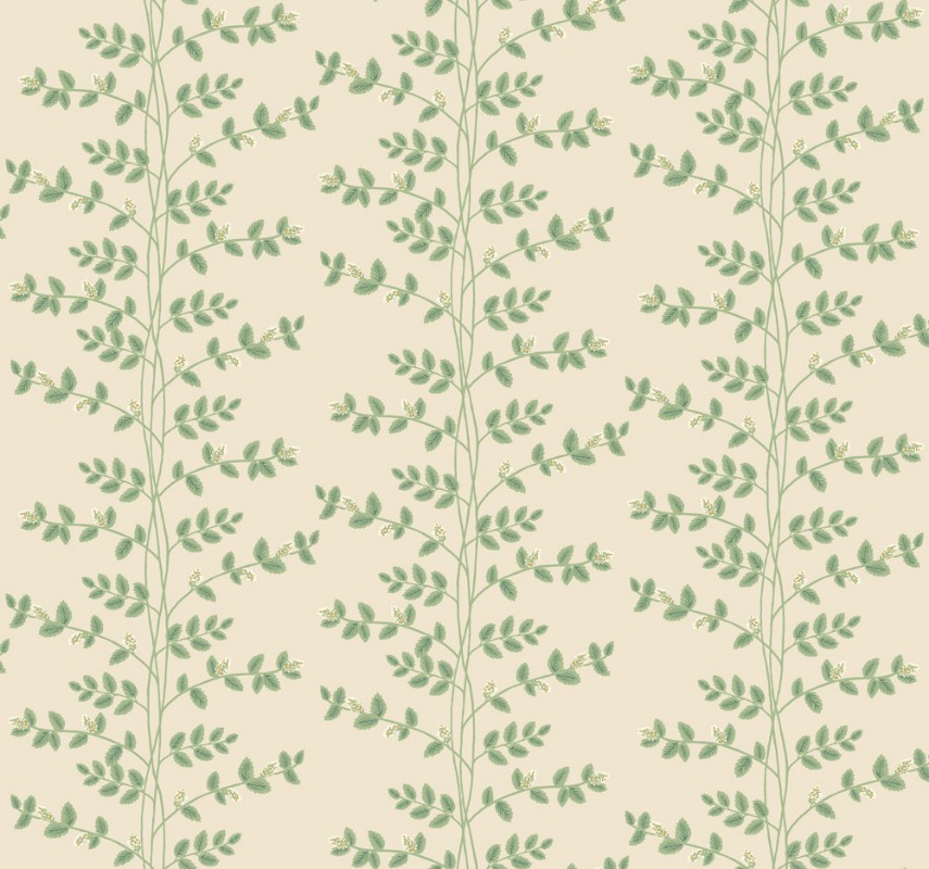 Climbing Vine - RF7423 wallpaper Midbec