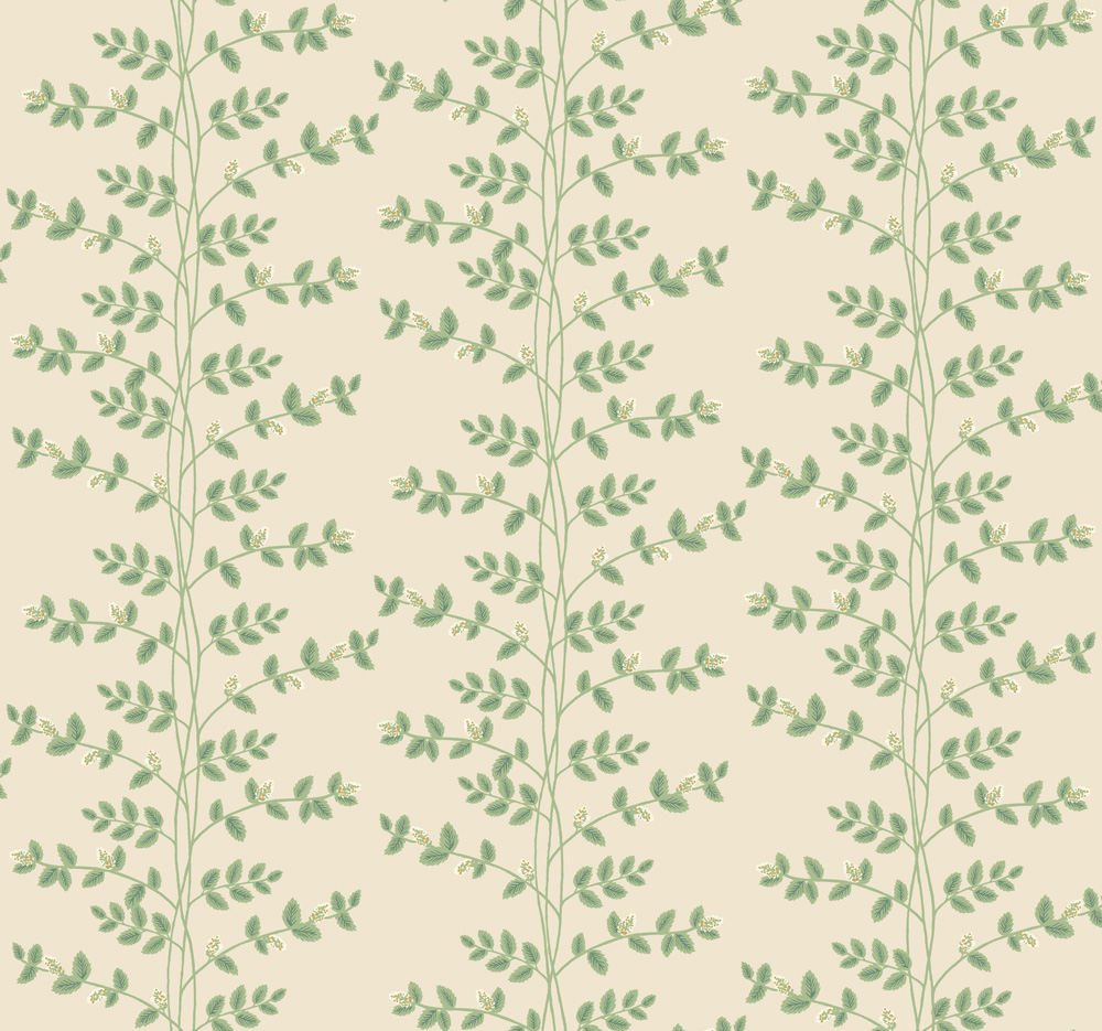 Climbing Vine - RF7423 wallpaper Midbec
