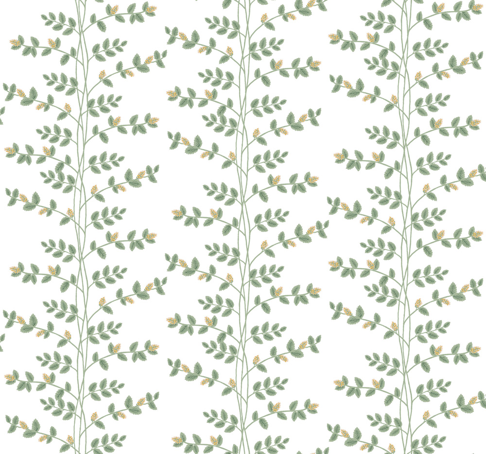 Climbing Vine - RF7424 wallpaper Midbec