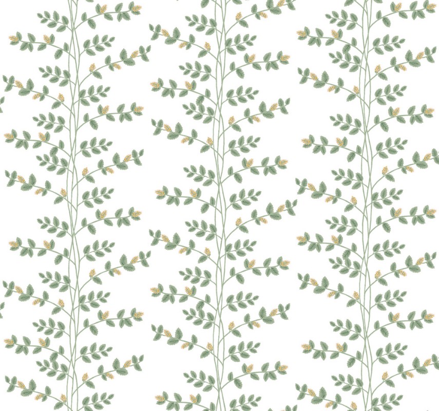 Climbing Vine - RF7424 wallpaper Midbec