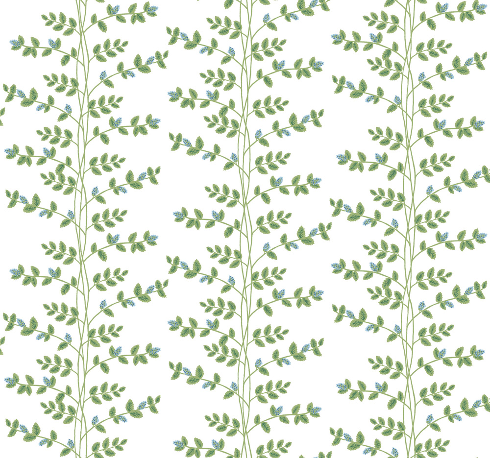 Climbing Vine - RF7425 wallpaper Midbec
