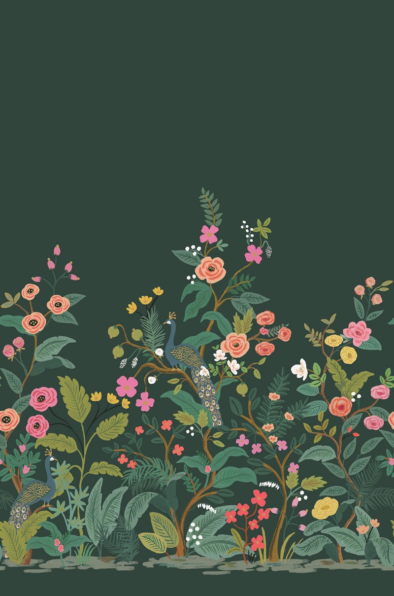 Peacock - RP7398M wallpaper Midbec