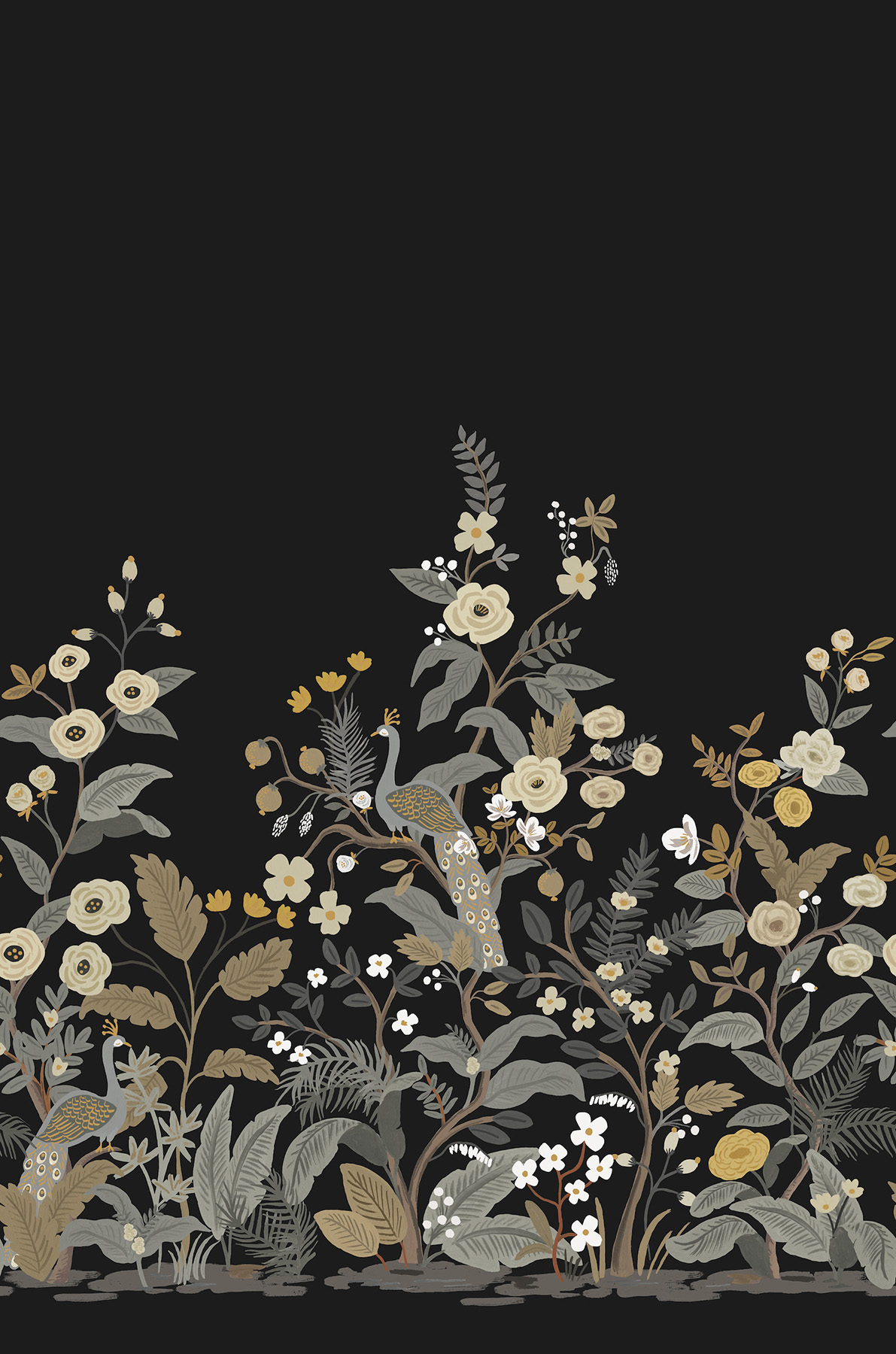 Peacock - RP7399M wallpaper Midbec