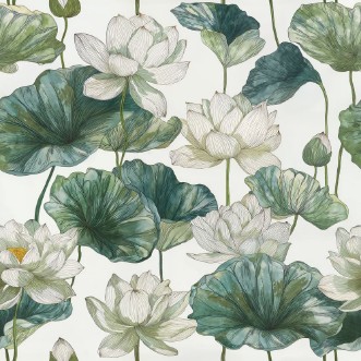 Image de Lindy Green - 1088501-01