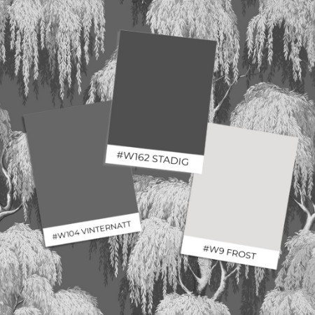 Picture of Coloring Tyler Grey - 1089901-02 - 07652-01