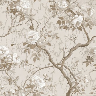 Afbeeldingen van Carolyn Beige - 1090401-02