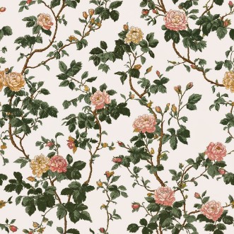 Immagine di Ashley White - 1090501-03