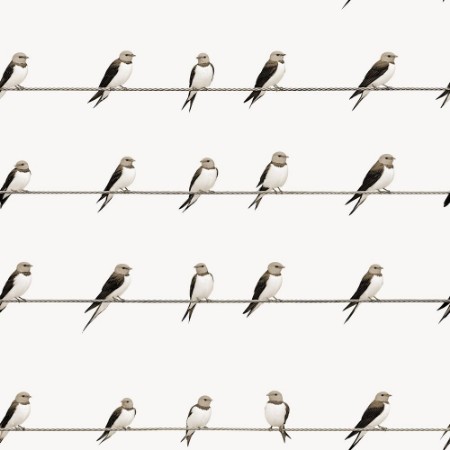 Picture of On the Line Beige - 1092201-03