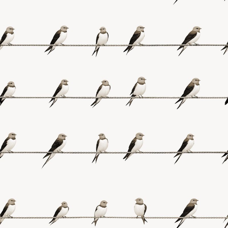 Picture of On the Line Beige - 1092201-03