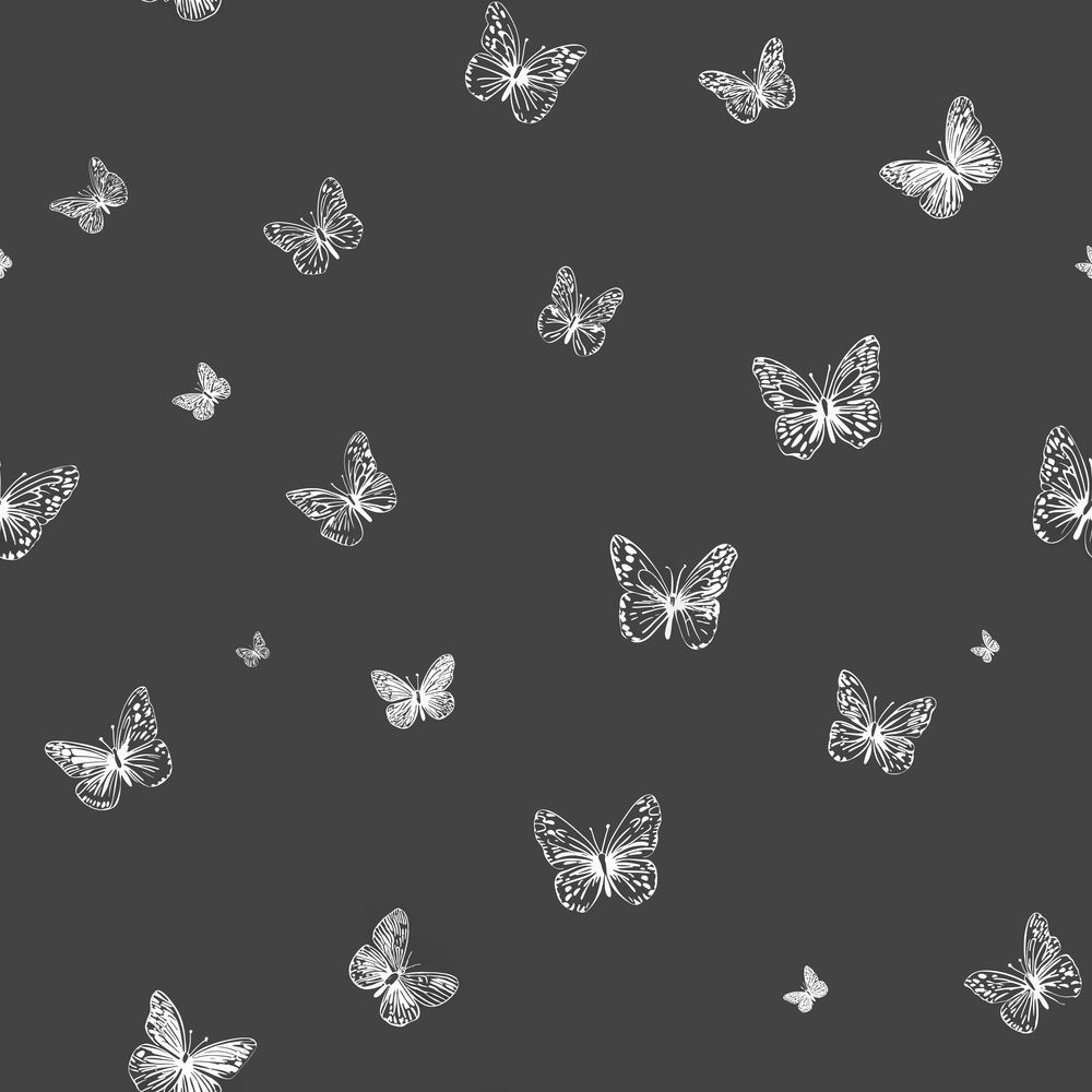 Image de Kasten Grey - 1092601-02