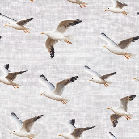 Picture of Knut Beige - 1093601-01