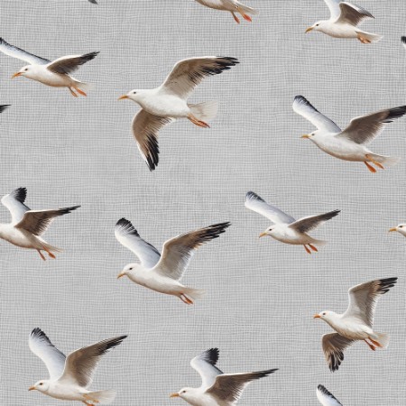 Picture of Knut Grey - 1093601-02