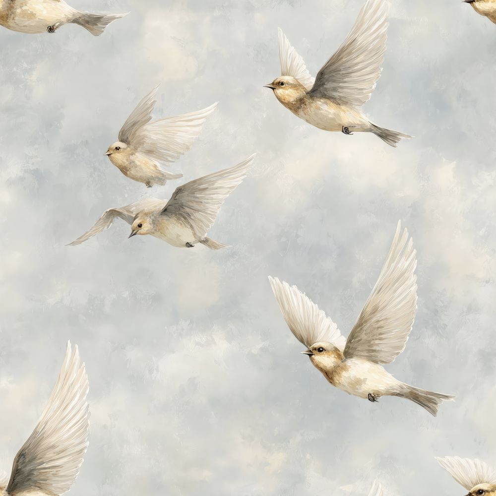 Agrandir l'image de Conny Cream - 1094101-01 Image de Conny Cream - 1094101-01