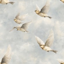 Picture of Conny Cream - 1094101-01