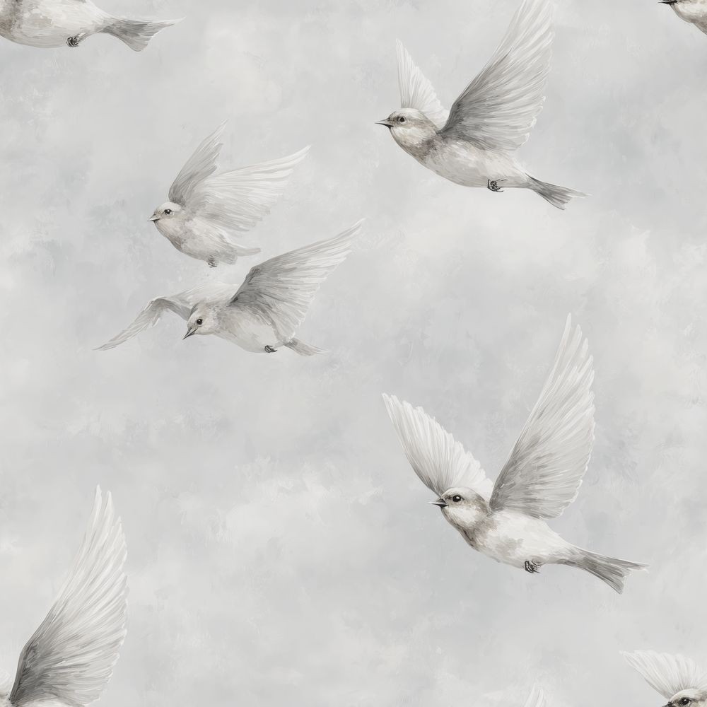 Agrandir l'image de Conny Grey - 1094101-02 Image de Conny Grey - 1094101-02