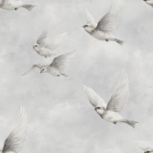 Afbeeldingen van Conny Grey - 1094101-02