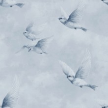 Afbeeldingen van Conny Blue - 1094101-03