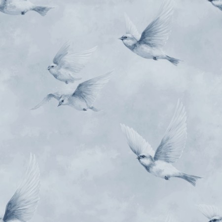 Picture of Conny Blue - 1094101-03