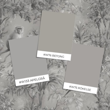 Εικόνα της Βαφή Borneo Grey - 1094801-03 - 07797-01