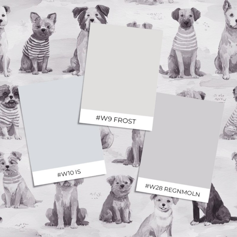 Poza cu Stil probă - Buster Grey - 1096001-03