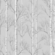 Picture of Abbe Grey - 1096501-03