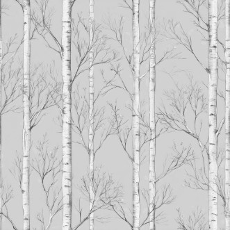 Picture of Abbe Grey - 1096501-03