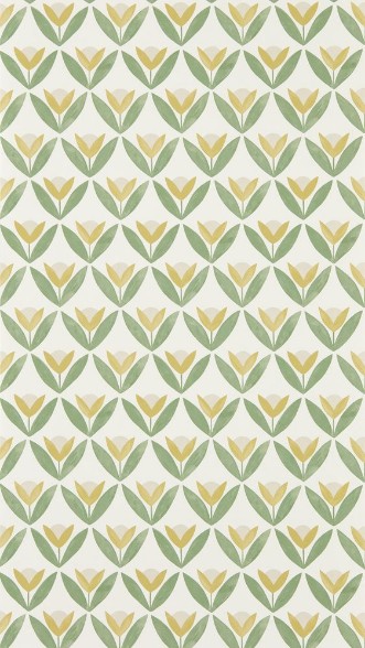 Tulip Trellis Honey - NSCW113256 wallpaper Scion