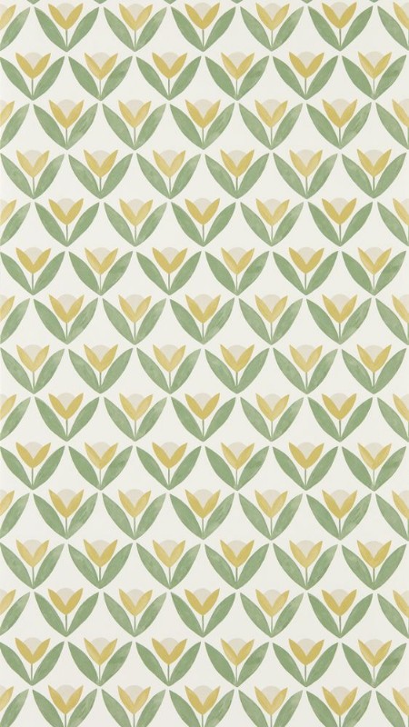 Tulip Trellis Honey - NSCW113256 wallpaper Scion