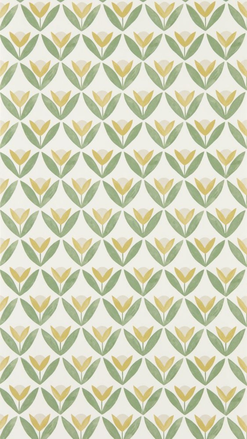 Tulip Trellis Honey - NSCW113256 wallpaper Scion