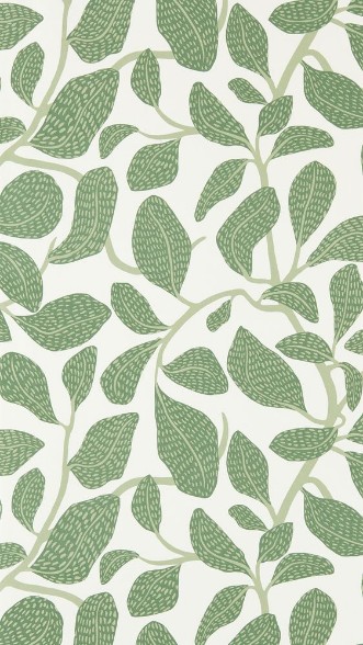 Sweet Bay Forest - NSCW113268 wallpaper Scion