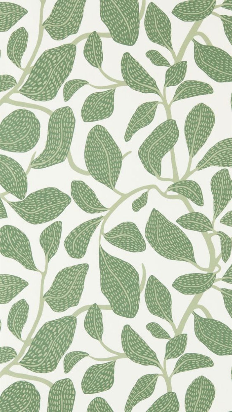 Sweet Bay Forest - NSCW113268 wallpaper Scion