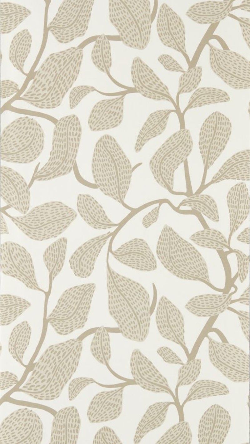 Sweet Bay Stone - NSCW113270 wallpaper Scion